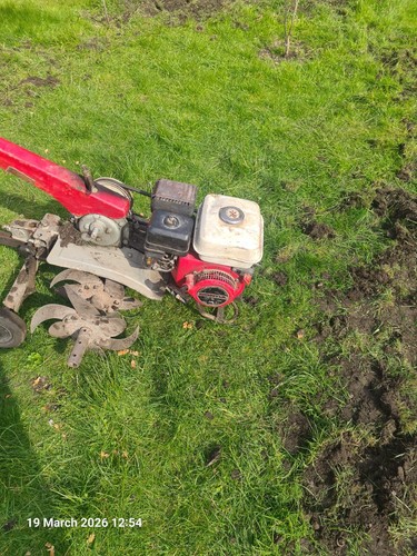 Honda tiller rotavator - honda, tiller/rotavator